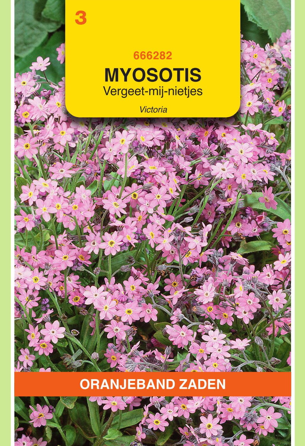OBZ Vergeet-Mij-Niet Zaden Victoria Roze