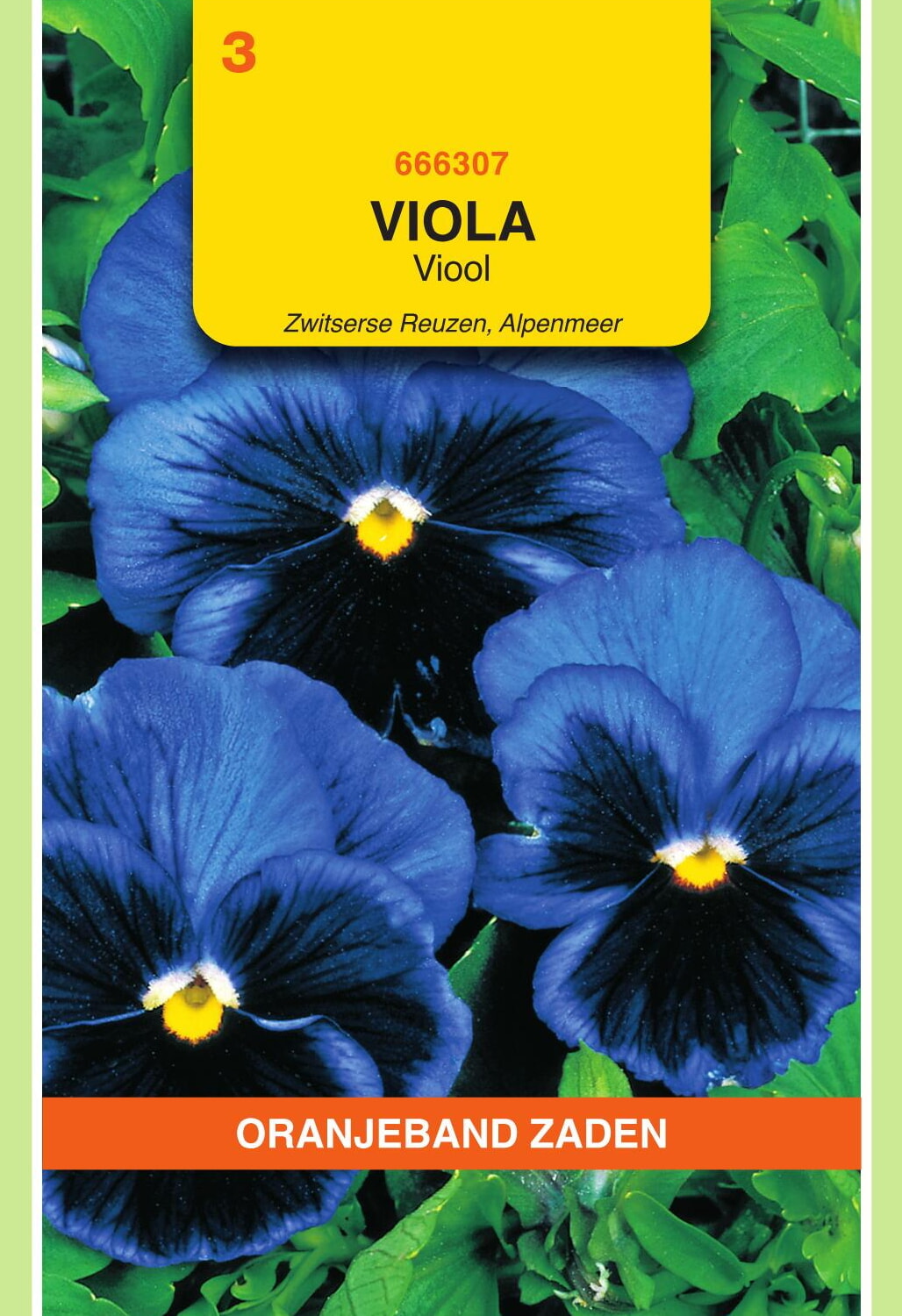 OBZ Viool Zaden Alpenmeer