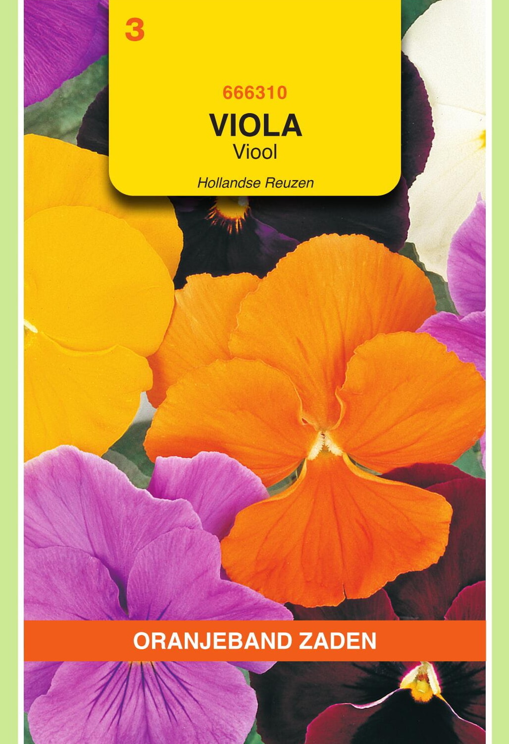 OBZ Viool Zaden Hollandse Reuzen Gemengd