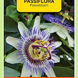OBZ Passiflora Zaden Passiebloem