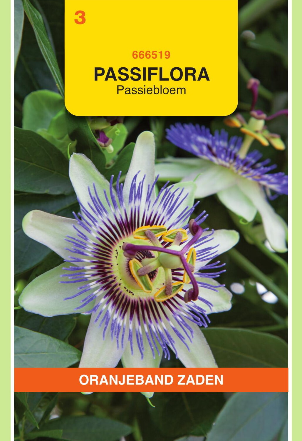 OBZ Passiflora Zaden Passiebloem