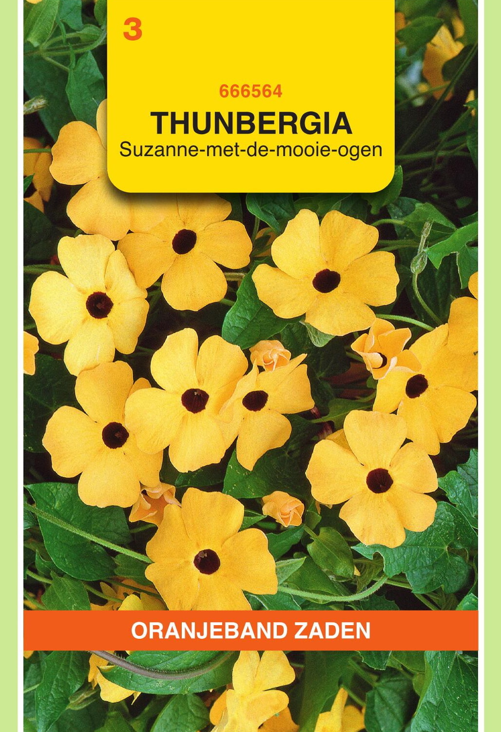 OBZ Suzanne-Met-De-Mooie-Ogen Zaden