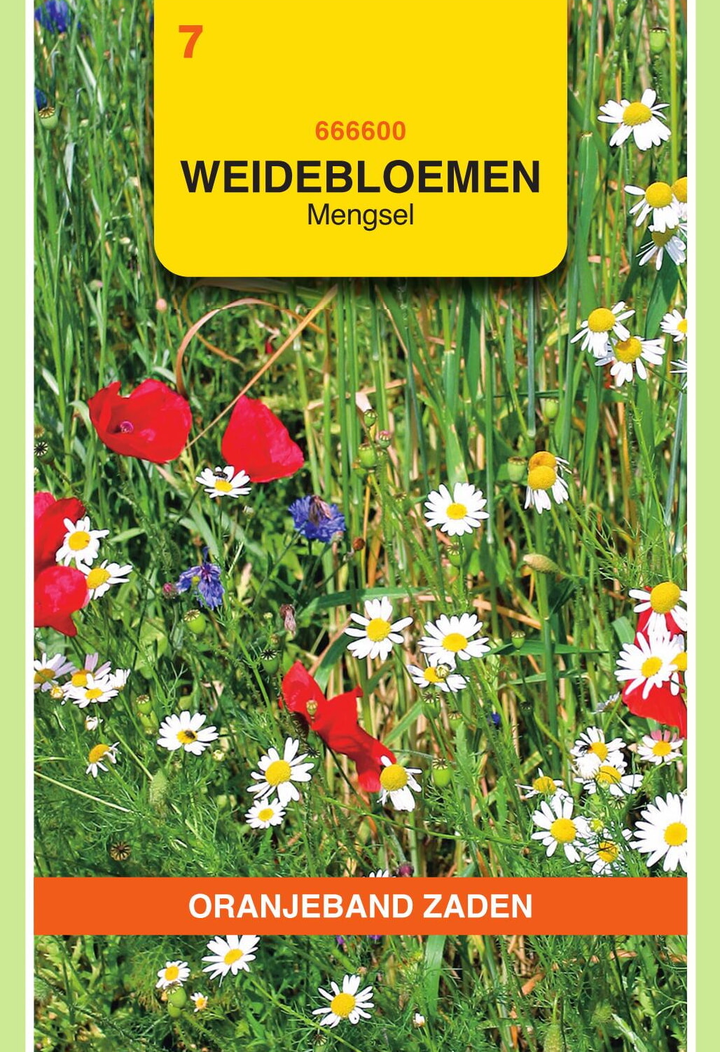 OBZ Weidebloemen Zaden Mengsel - 5 m²