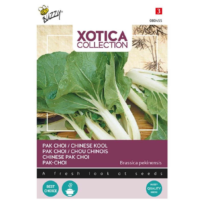 Buzzy Xotica Pak Choi Zaden Chinese Kool
