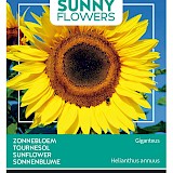 Buzzy Zonnebloem Zaden Giganteus Helianthus annuus