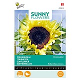 Buzzy Zonnebloem Zaden Moonwalker Helianthus annuus