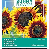 Buzzy Zonnebloem Zaden Ring on Fire Helianthus annuus