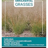 Buzzy Ornamental Grasses Parelgras Zaden