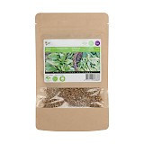 Veldsla Zaden Grote Noordhollandse 25g