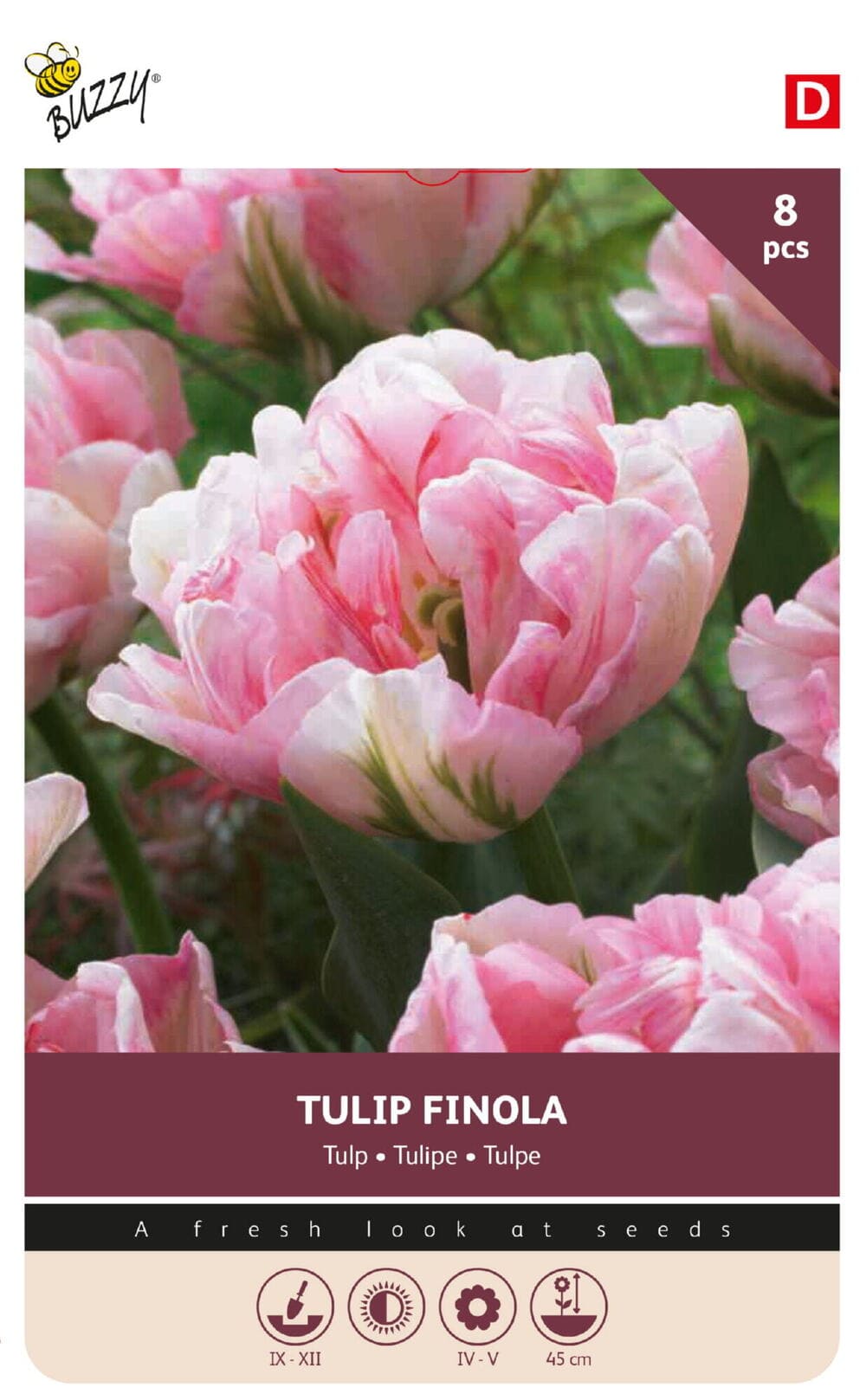 Tulpenbollen Finola 11/12 8st.