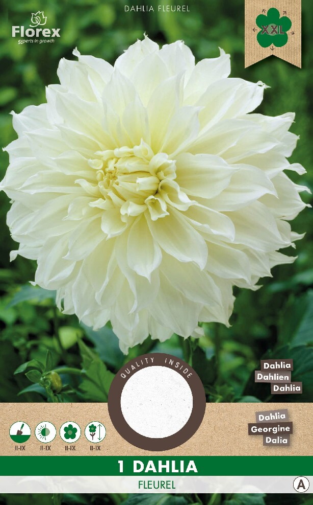 Dahlia Decoratief Dinnerplate Fleurel Wit 1st.