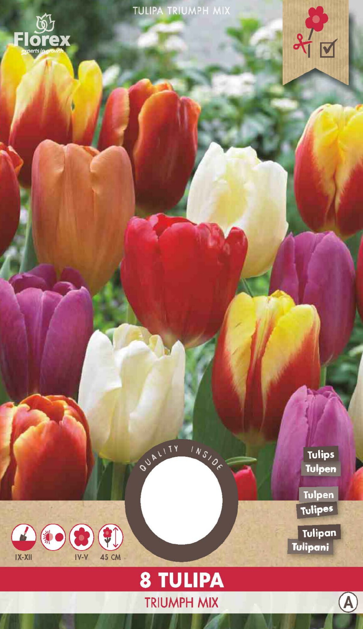 Tulp Triumph Gemengd 11/12 8st.