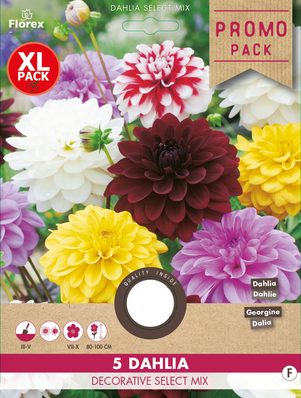 Dahlia Decoratief Select Mix 5st.