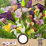 Lelie Calla Zanthedeschia Select Mix 3st.