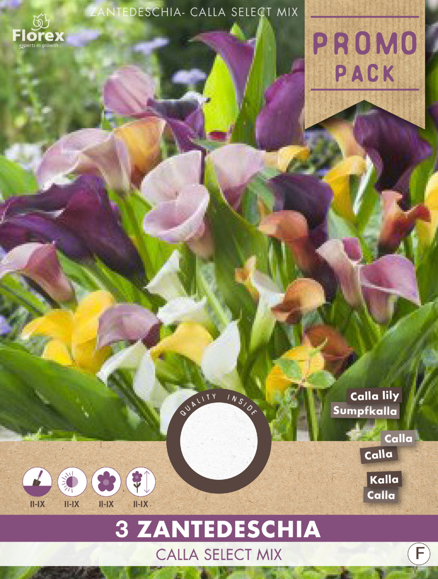 Lelie Calla Zanthedeschia Select Mix 3st.