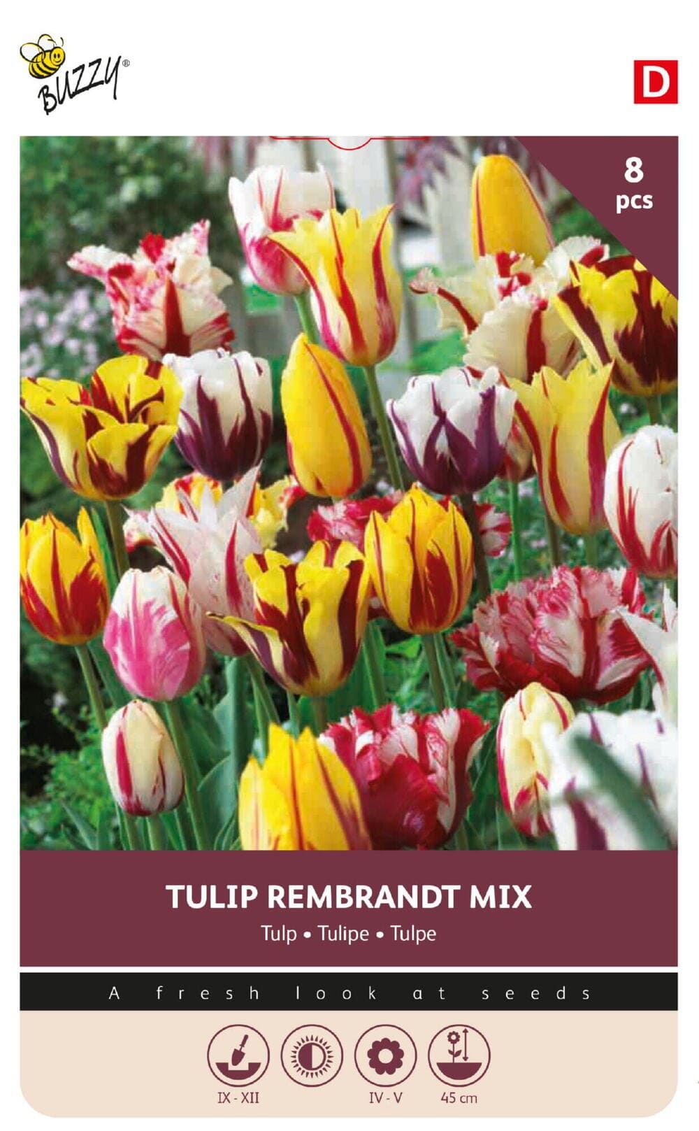 Tulpenbollen Rembrandt Gemengd 11/12 8st.