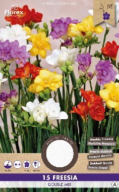 Freesia Dubbel Mix 5/6 15st.