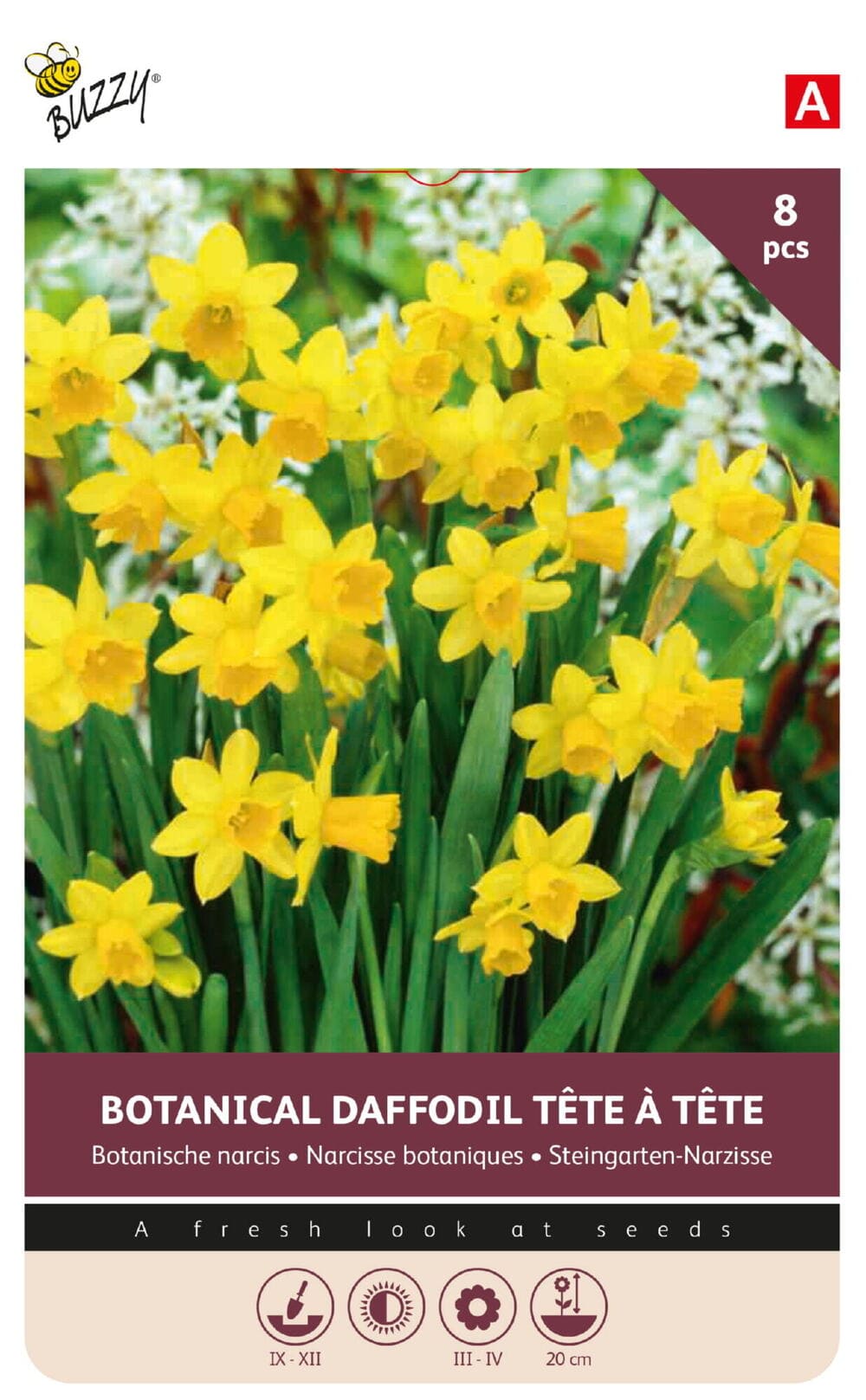 Botanische Narcissen bollen Tete a Tete