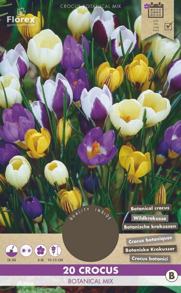 Crocus Botanisch Gemengd 5/7 20st.