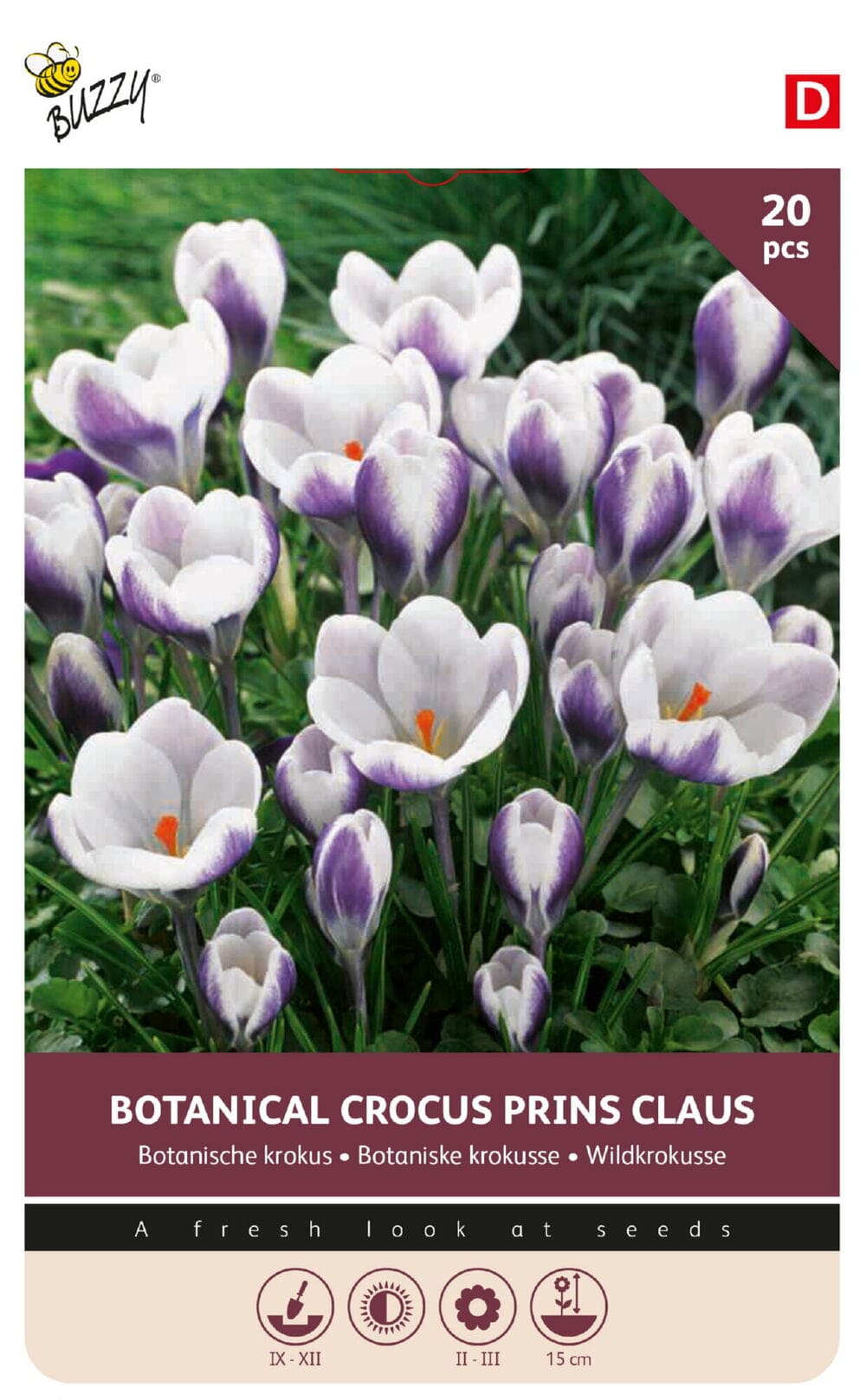 Botanische Krokus bollen Prins Claus