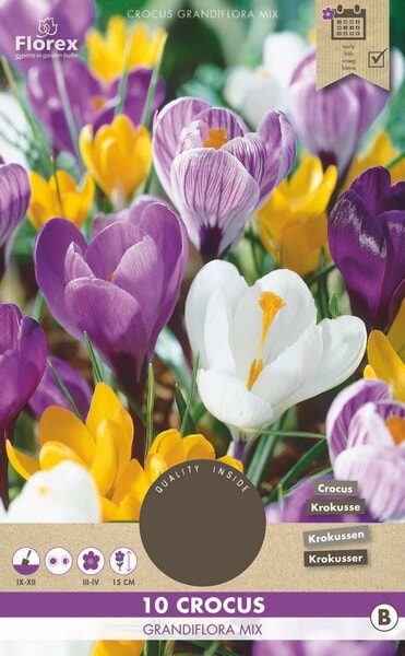 Crocus Grootbloemig Gemengd 8/9 10st.
