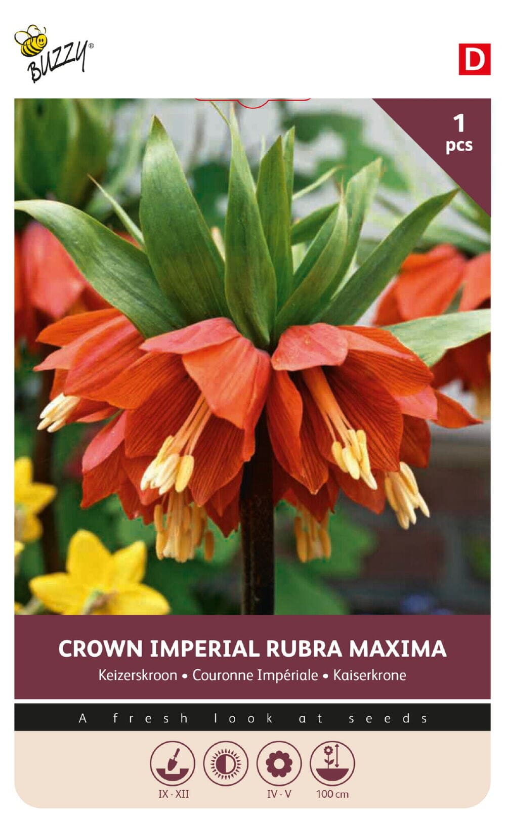 Keizerskroon bollen Imperialis Rubra 20/24 1st.