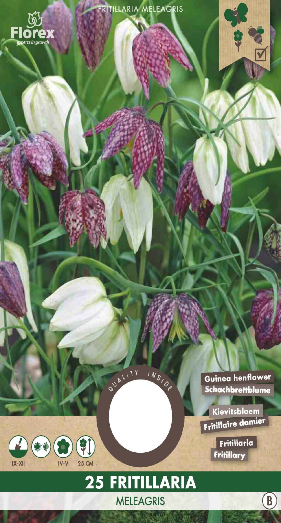 Kievietsbloem Fritillaria Meleagris 5/6 25st.