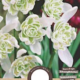 Sneeuwklokjes Galanthus Flore pleno 4/5 7st.