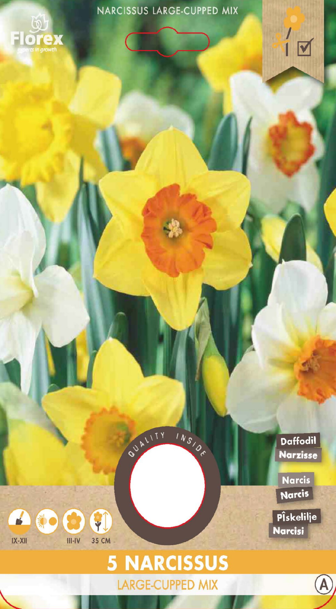 Narcis Grootkronig mix 12/14 5st.