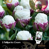 Tulp Premium Ice Cream 11/12 5st.