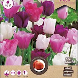 Grootverpakking Tulp Ella Mix 11/12 20st.
