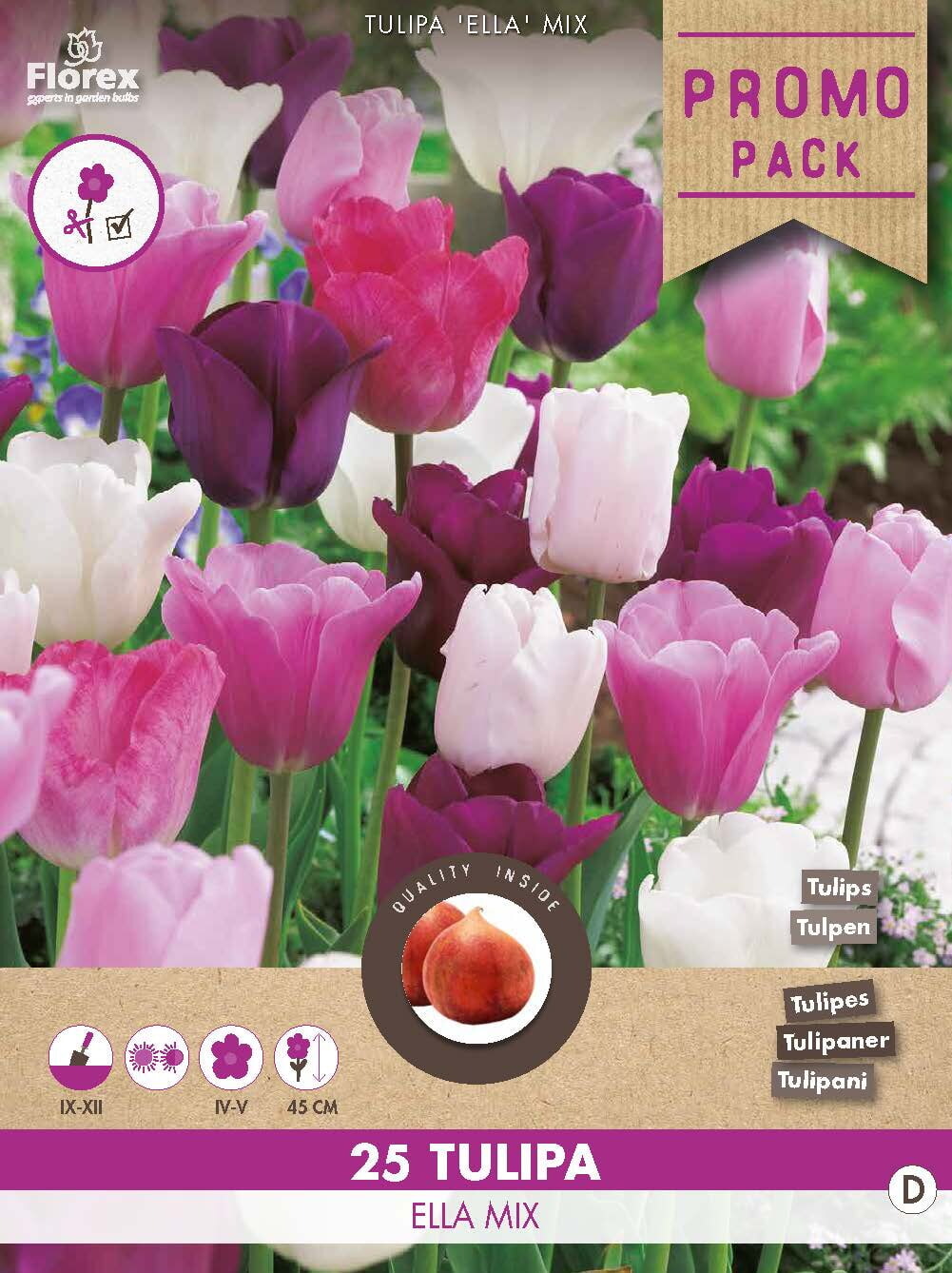 Grootverpakking Tulp Ella Mix 11/12 20st.