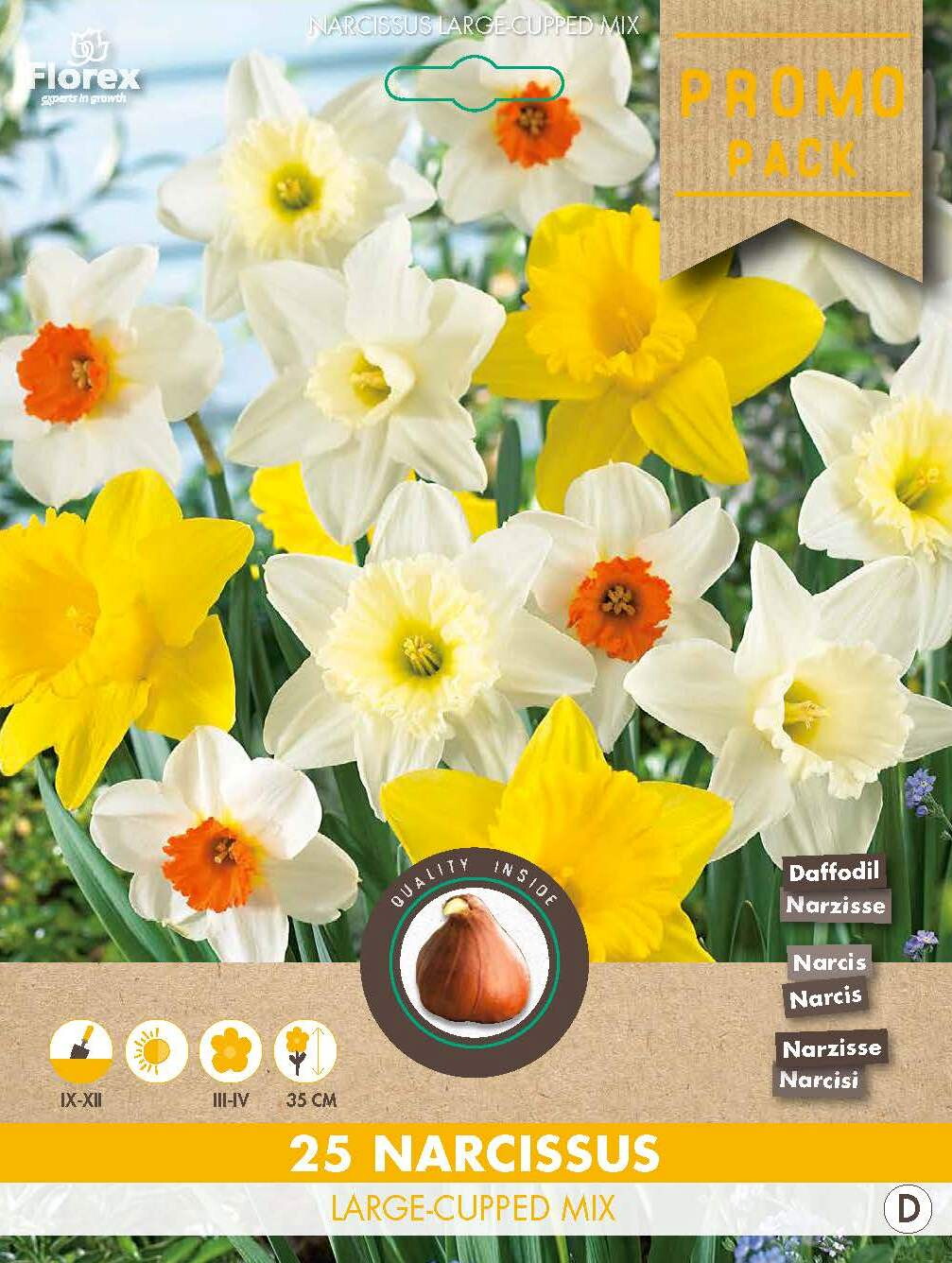 Grootverpakking Grootkron. Narcis Mix 10/12 25st.