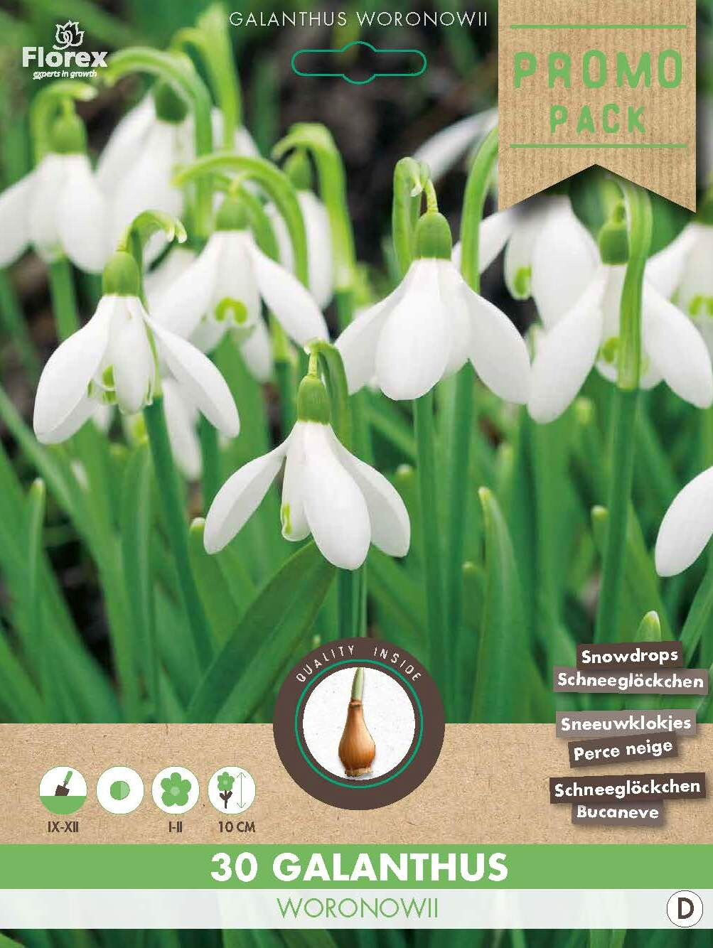 Grootverpakking Galanthus Woronowii 5/6 30st.