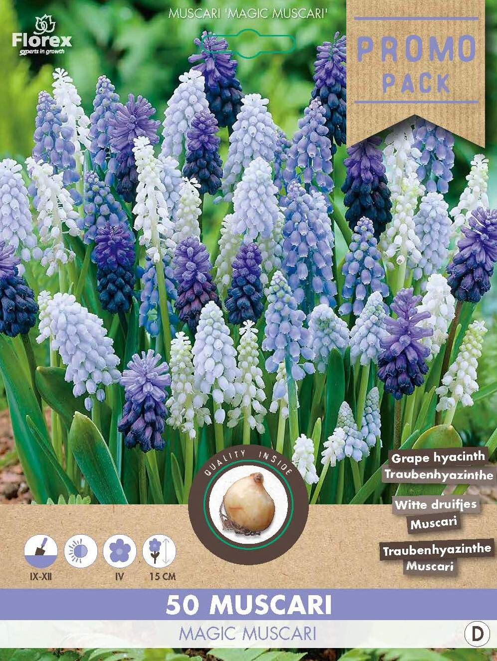 Grootverpakking Muscari Magic Mix 50st.