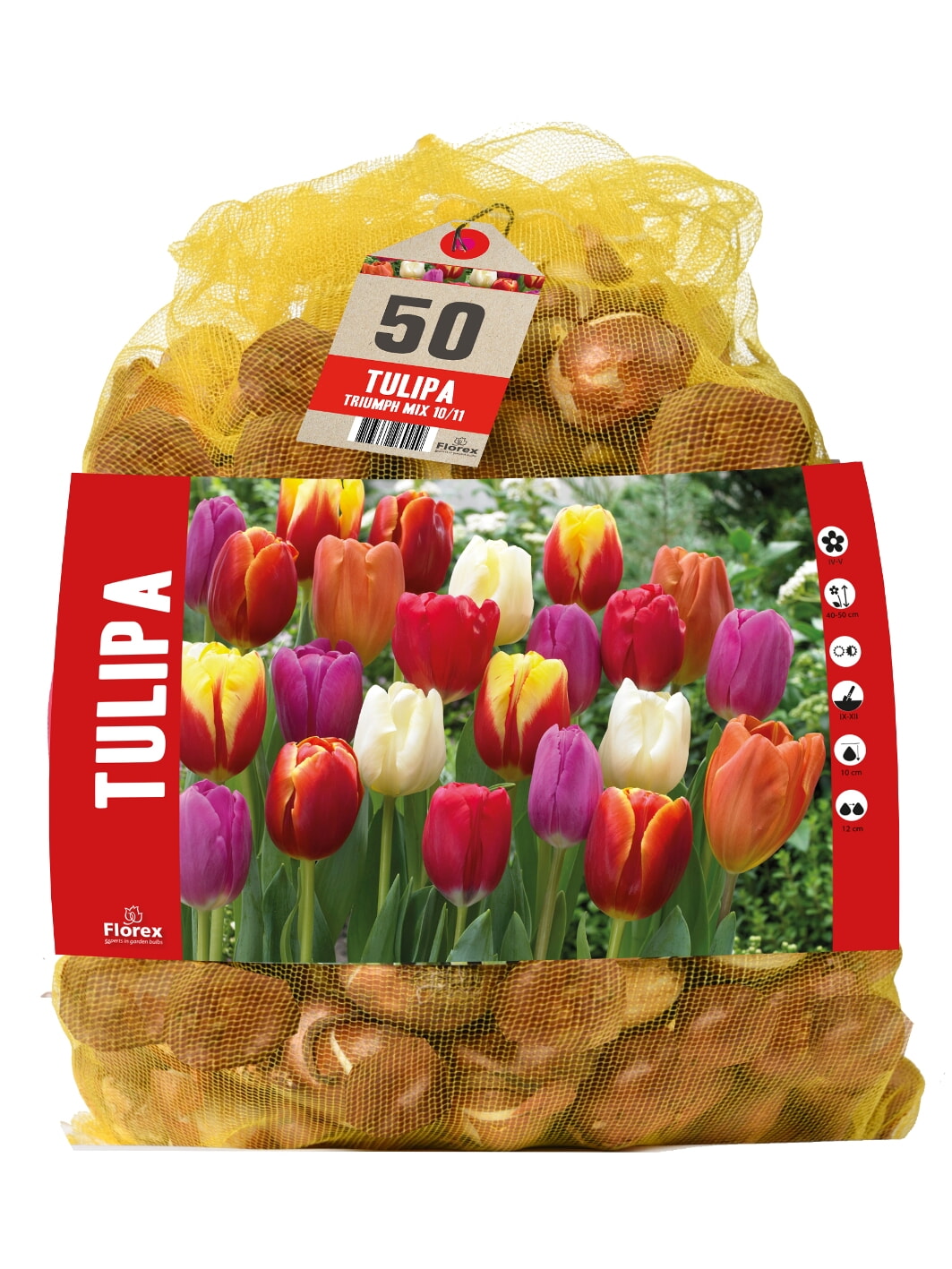 Grootverpakking Tulpen Triumph Mix 10/11 50st