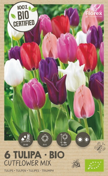 Bio Tulp Snijbloemen Mengsel 11/12 6st