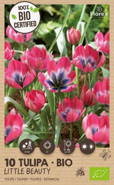 Bio Tulp Little Beauty 5/+ 10st.
