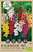 Bio Gladiool Grandiflora Mix 6st.
