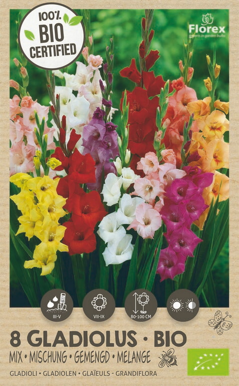 Bio Gladiool Grandiflora Mix 6st.