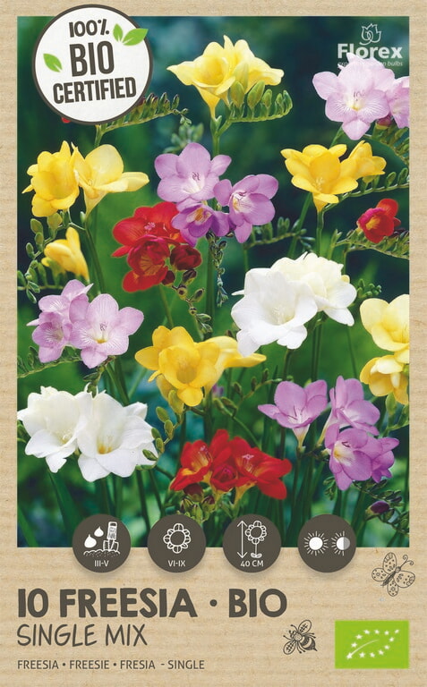 Bio Freesia Enkel Mix 5/6 10st.
