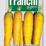 Franchi Wortelen Zaden Carota Da Foraggio