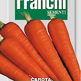 Franchi Wortelen Zaden Carota Chantenay