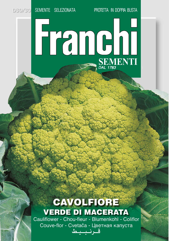 Franchi Bloemkool Zaden Cavolfiore Verde De Macerata