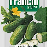 Franchi Augurk Zaden Cetriolino Piccolo Di Parigi