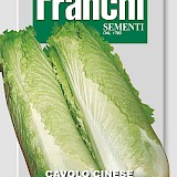 Franchi Bladkool Zaden Cavolo Cinese Pe-Tsai
