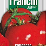 Franchi Tomaat Zaden Pomodoro Marglobe