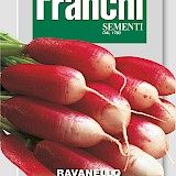 Franchi Radijs Zaden Ravanello Flamboyant 3