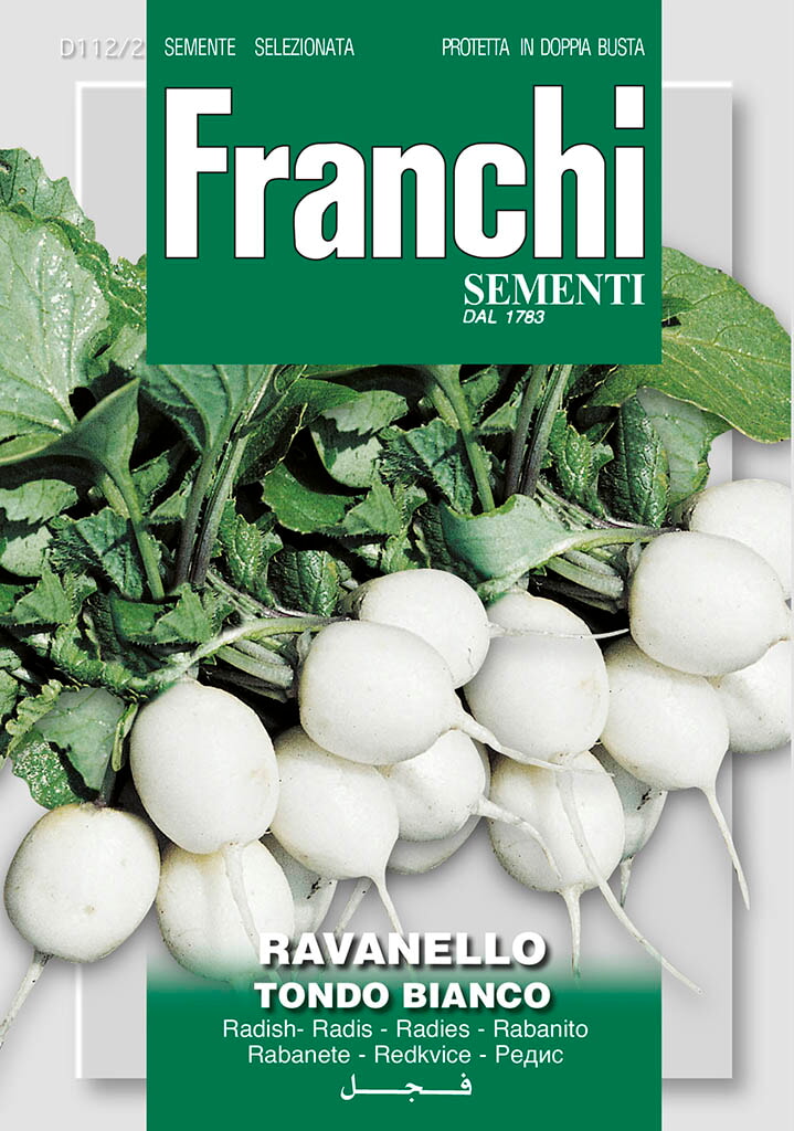 Franchi Radijs Zaden Ravanello Tondo Bianco