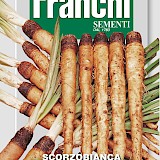 Franchi Haverwortel Zaden Scorzobianca